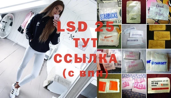 ГАЛЛЮЦИНОГЕННЫЕ ГРИБЫ Майский