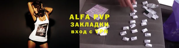 a pvp Аркадак