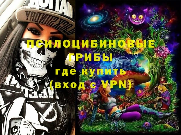 a pvp Аркадак